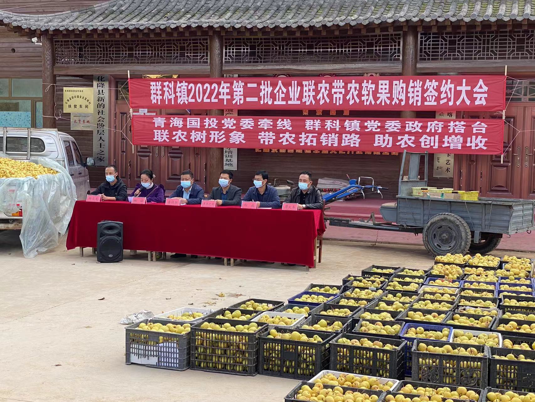 拼搏体育驻乙沙二村工作队积极帮助解决农产品滞销
